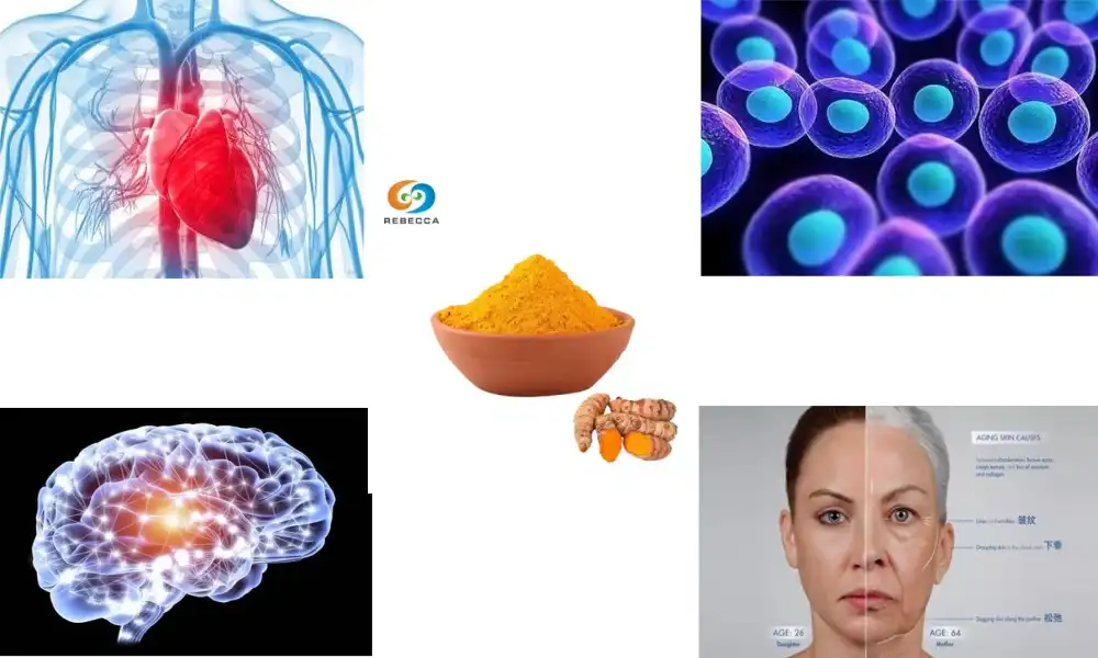 What are the health benefits of turmeric consumption?